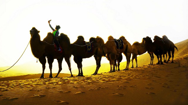 线下商家花呗_个人怎么把白条套出来