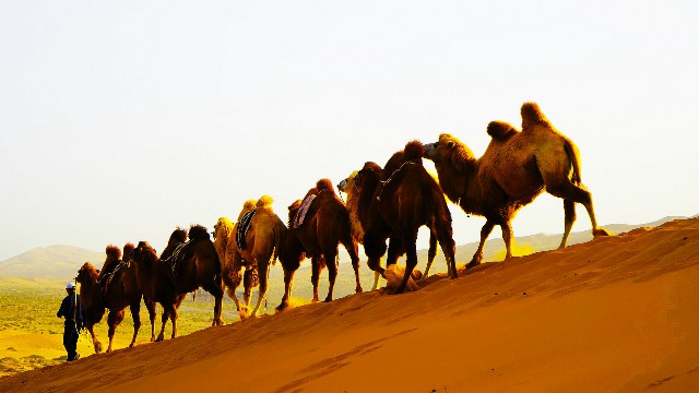 花呗糯米提现_什么软件能套蚂蚁花呗