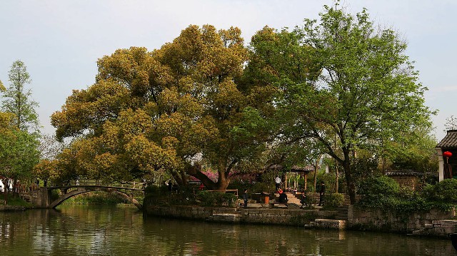 广州医保 提现_羊小咩套现秒回吗