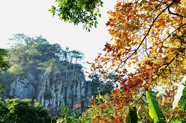 花呗收款商家费用_淘宝怎么套现花呗