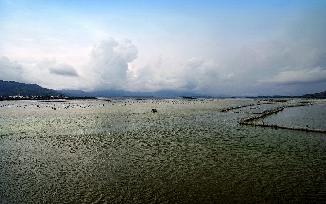 羊小咩显示待提现_花呗支付商家图