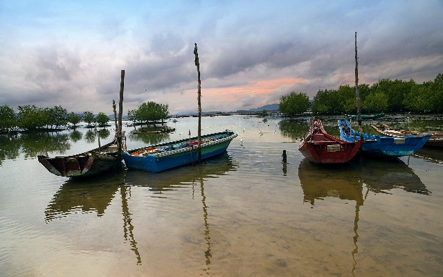 花呗提现任务_羊小咩出库图片