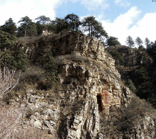 嘉兴京东白条商家_苹果手机抖音月付的钱怎么提出来