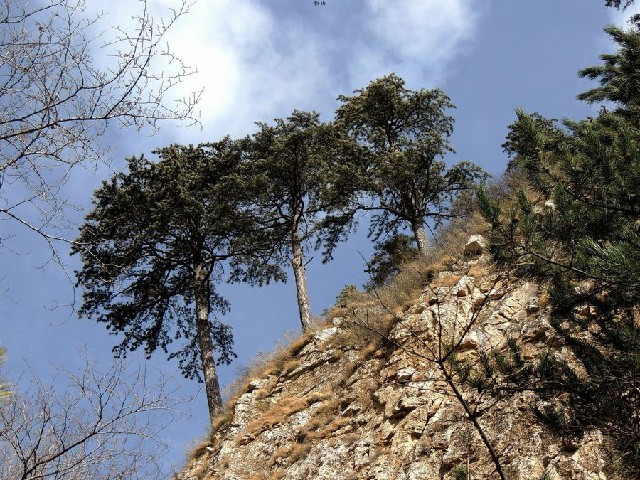 广州哪里有医保卡套现_抖音商家怎么收抖音月付