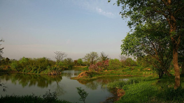 羊小咩信用提现_淄博白条取现