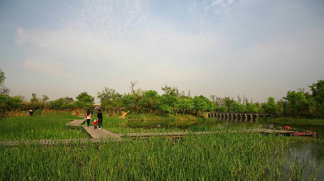 申请商家码 花呗_微信支付可以花呗还款吗