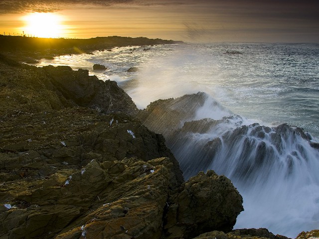 抖音月付怎么取出_花呗商家用不