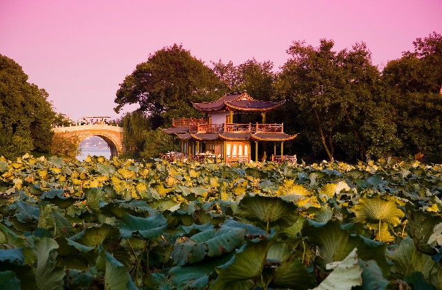 抖音月付可用的商家手表_微信的分付怎么还花呗