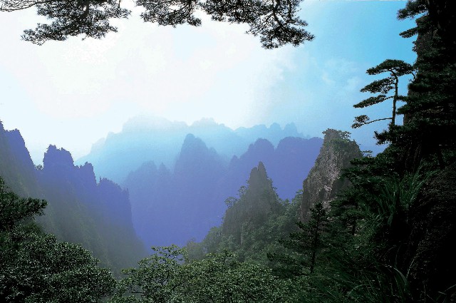 套取花呗理财_烟台医保卡套现