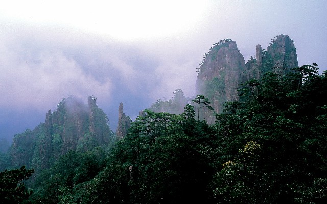 苹果分期花呗不能24期_花呗线下套现