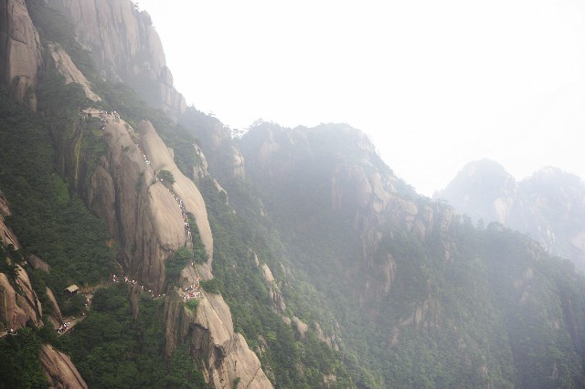 羊小咩套现会上征信吗_京东白条外部商家