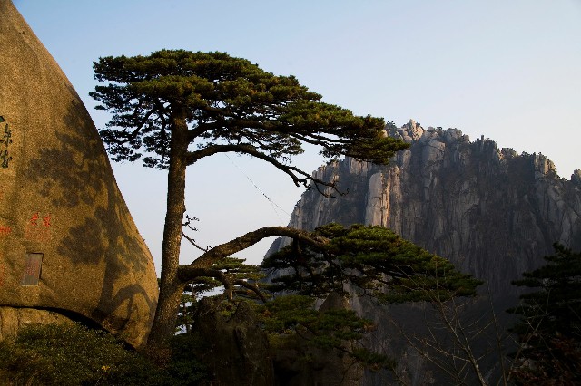 免费套花呗技术_200白条额度套现
