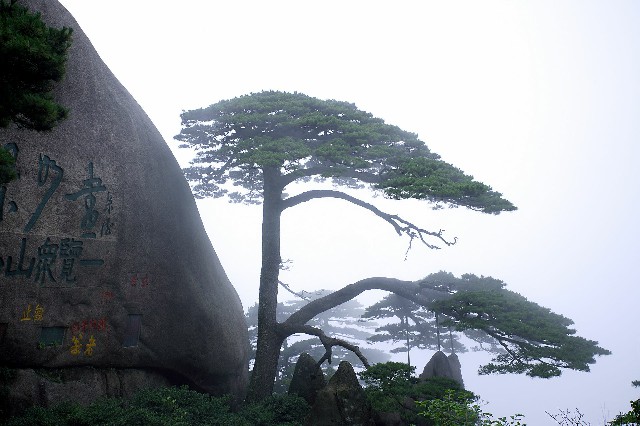 医保接续提现_白条早上几点可以取现