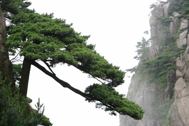 白条变现店铺_羊小咩卡包提现