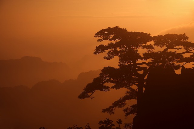 花呗套2600_襄阳医保怎么转出