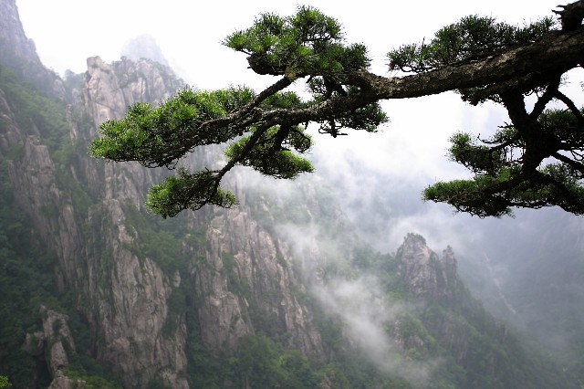 花呗额度240000_联通花呗最新套餐