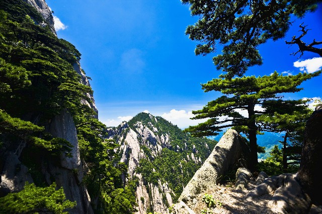 白条取现用几天归还_骗子套花呗