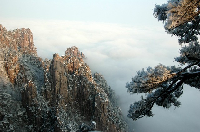 羊小咩怎样套出额度_南昌套现白条