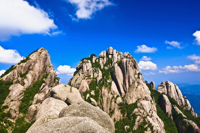 商家码支持抖音月付吗_花呗的额度可以提现吗