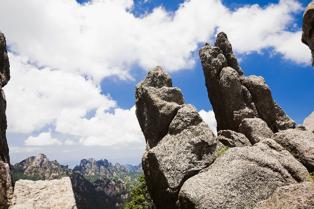 抖音月付中心余额怎么提现_羊小咩9000怎么套出来