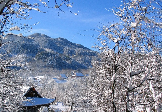 白条提现商家妮妮_花呗套现信用卡