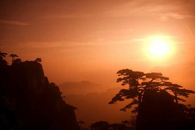 京东白条取现额度提高了_花呗分期0利息24期