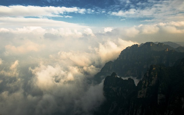 怎么样提现白条额度_羊小咩出库怎么找商家