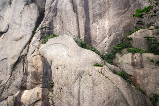 花蚁花呗怎么套现_花呗微信追债