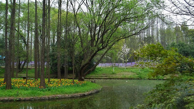 抖音月付取现额度_商家抖音月付额度设置