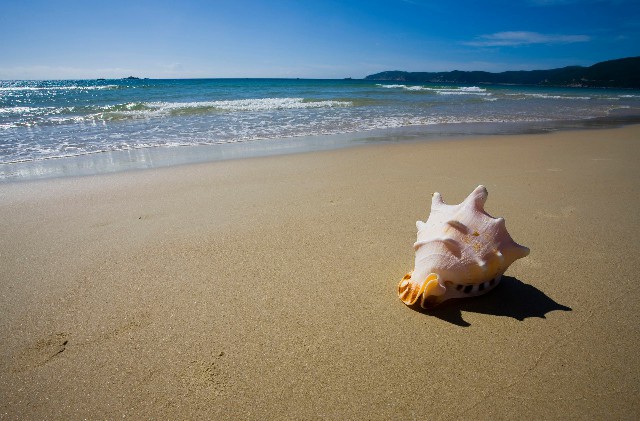 银收宝怎么套花呗_羊小咩400额度怎么套