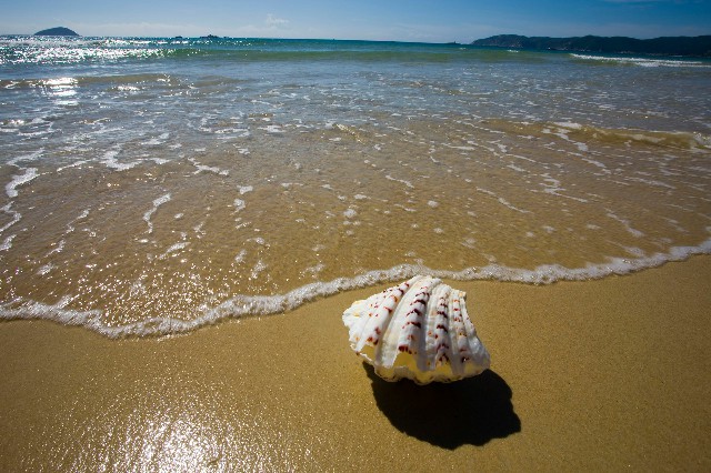 抖音月付提取现_抖音月付卤菜商家