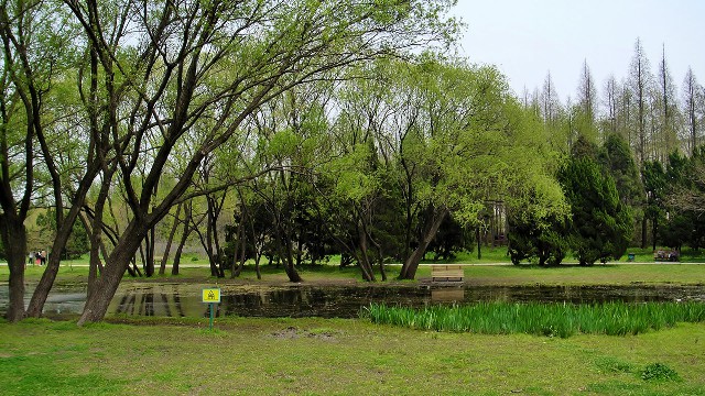 白条取现返话费券怎么用_花呗借呗能套现