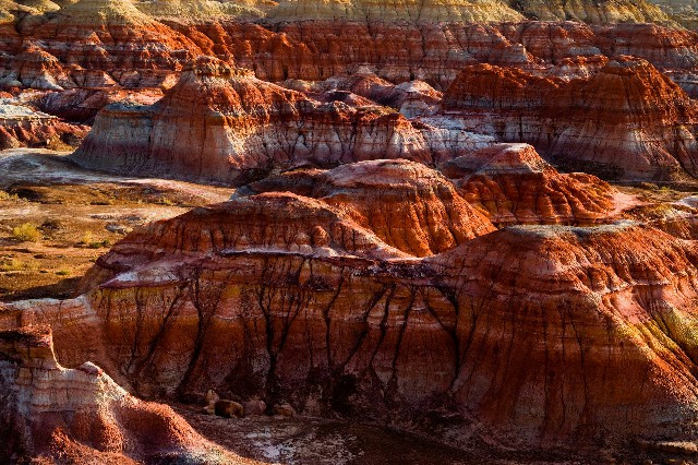 抖音月付可用的商家汽车射灯_抖音支持月付的商家怎么搜不到了