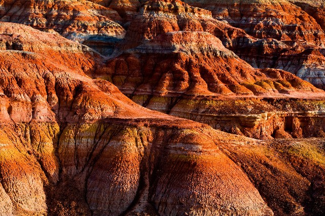 联通套餐花呗分期_羊小咩套现被警察抓了