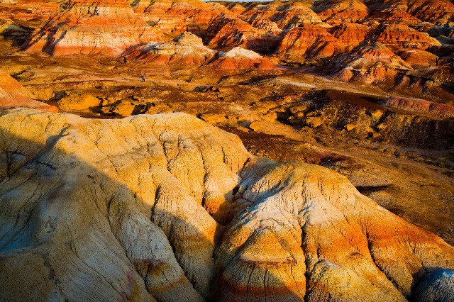 抖音月付付的钱商家知道吗_花呗付款隔天商家没收到