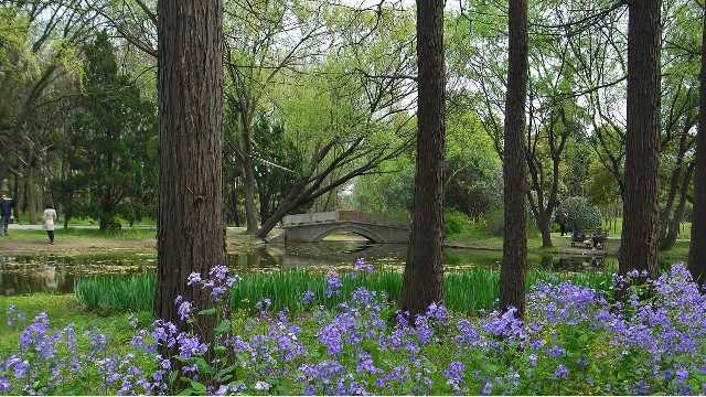白条套现骗子_商家禁用花呗