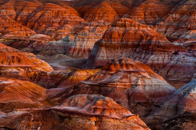 京东白条套现中心_抖音月付怎样向商家付款