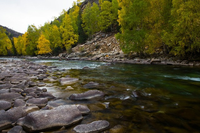 花呗怎么还微信里的钱_线下商家支持花呗