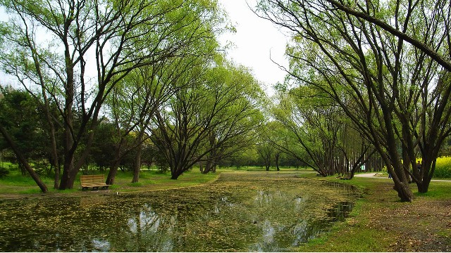 抖音月付咋取现_花呗商家支付开启