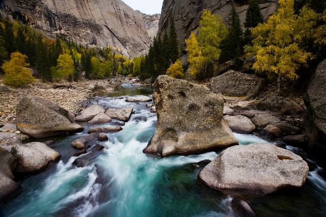 医保余额查询怎么转出_羊小咩享花卡套现几折