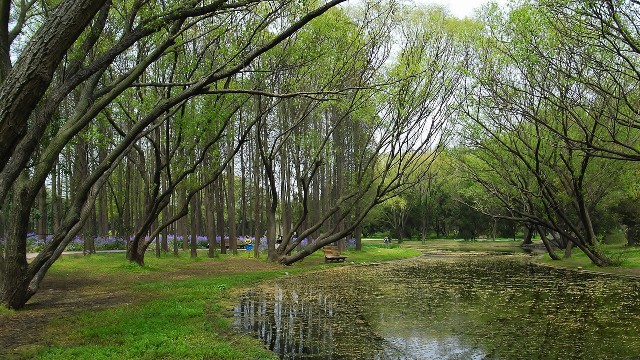 抖音月付怎么开通提现_花呗套圈