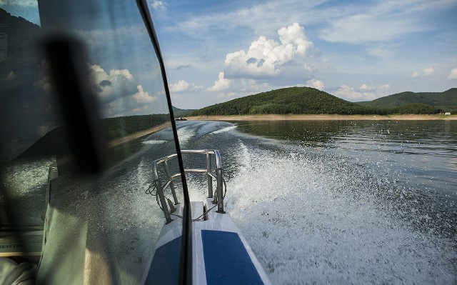 羊小咩什么时候出来的_抖音可月付的商家抱枕