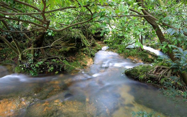 多次商家花呗_花呗商家不能花呗支付