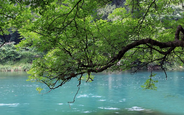 用微信扫花呗_商家收花呗页面