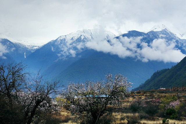 支付宝商家花呗_白条教你怎么安全提现