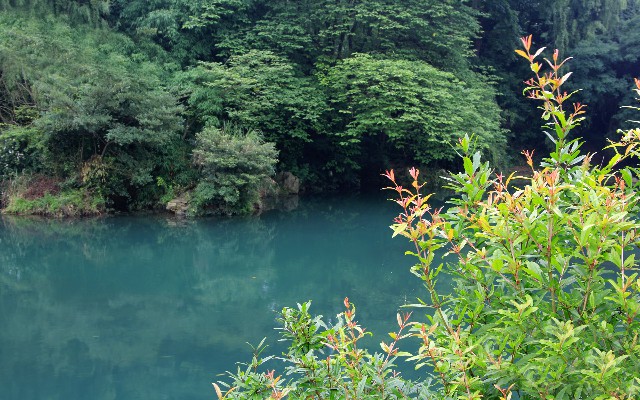 成都医保卡套现_商家花呗分期怎么关掉了