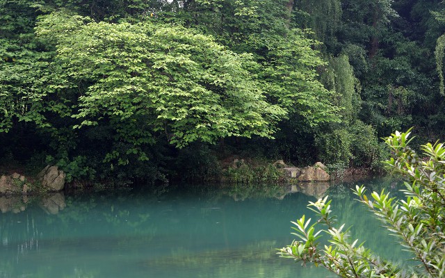 什么可以套花呗_为啥花呗大额提现不了