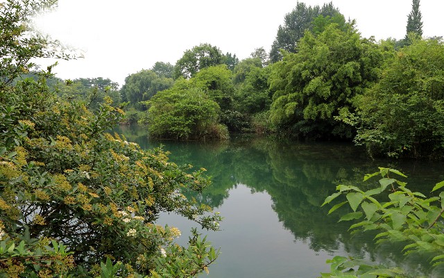 商家怎么退回花呗_唯品会可以套花呗