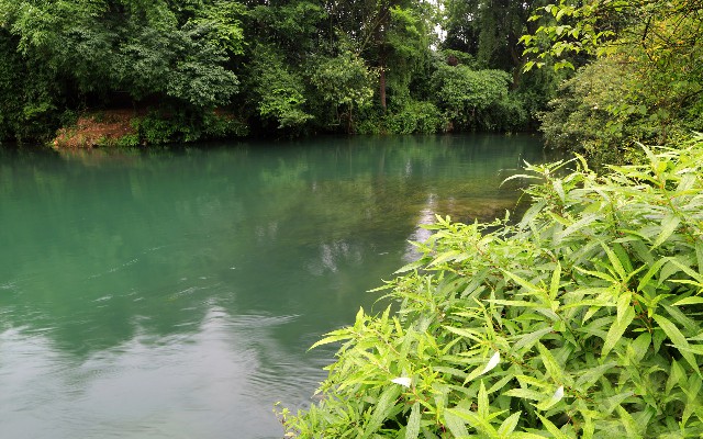 京东白条咋取出来现金_羊小咩小额度能提吗