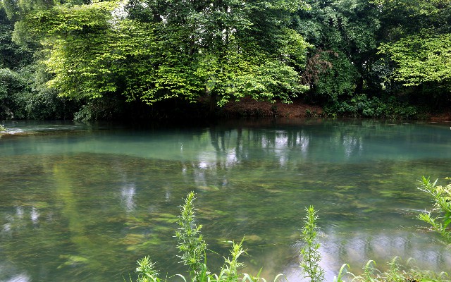 商家扫顾客花呗_羊小咩几号出账